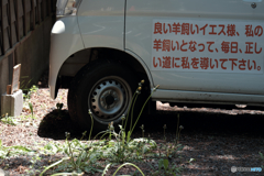 5175　私は羊