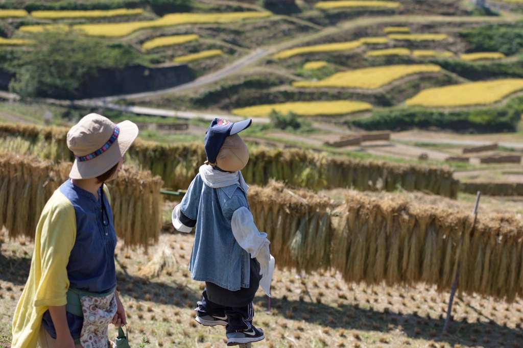 黄金の季節（歩く）