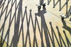 DP2M0274