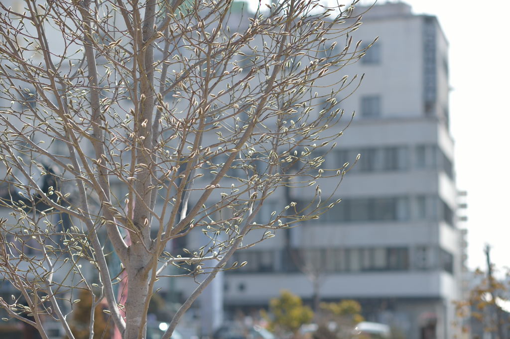 新生