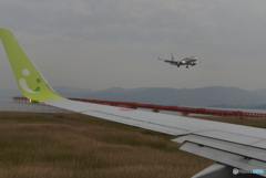 空種