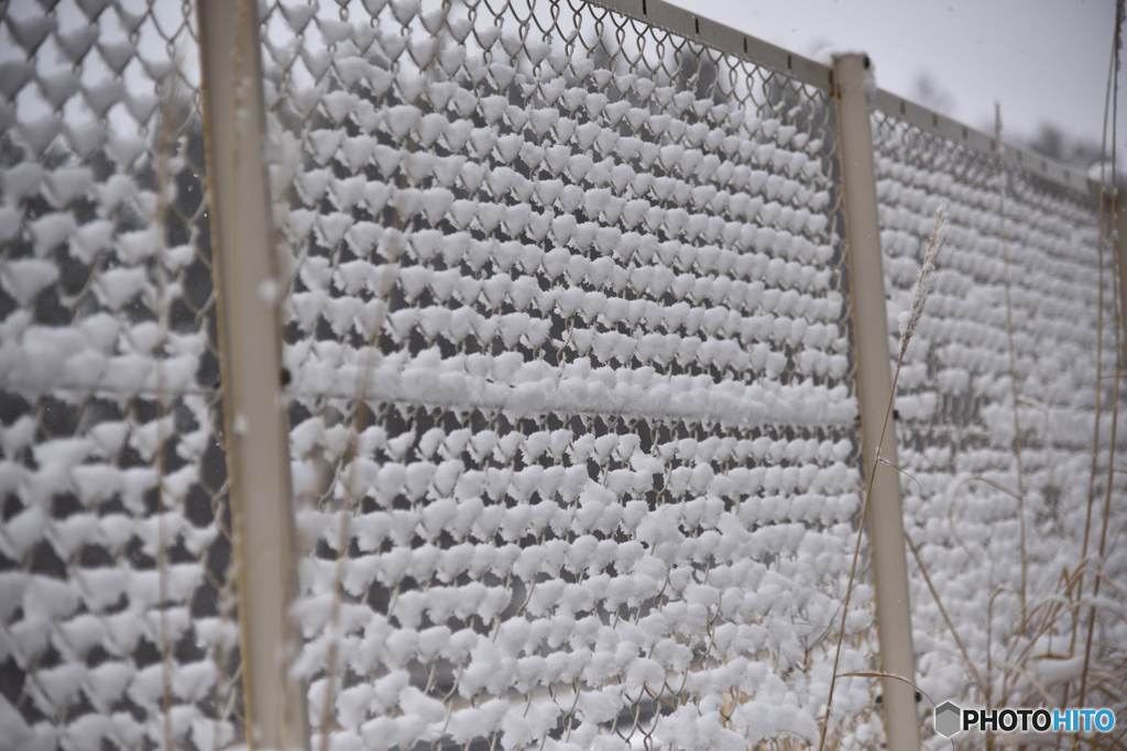 彼岸の雪