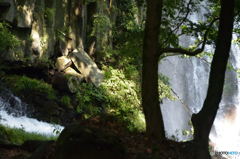 白糸の滝 白糸の滝