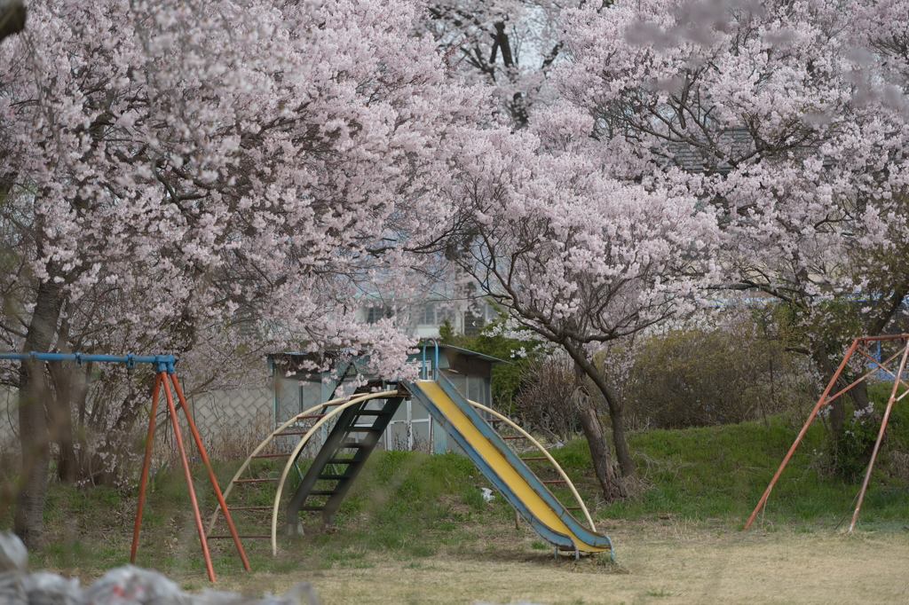 春の遊具