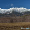 八ヶ岳　冠雪