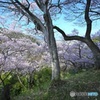 高遠