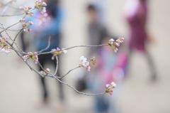 今年の方向
