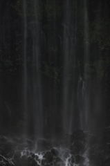 千住博に捧ぐ 千住博に捧ぐ