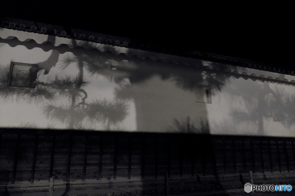 negative