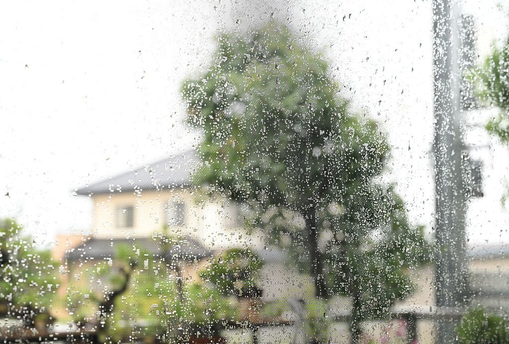 Pixels（豪雨）