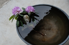 仕掛けられた水