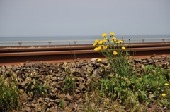 地の果て＝柿崎