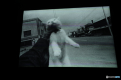 by　森山大道（この感覚にはまいった）