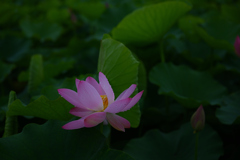 雨滴