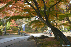 懐古園（かたむき）