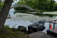 大沼公園