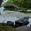 大沼公園