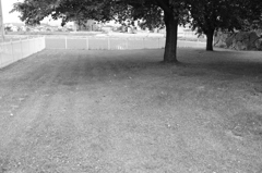 写真を撮る動機