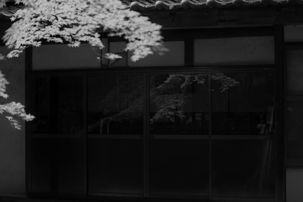 虚実曖昧（但し、まだ甘い・・・）