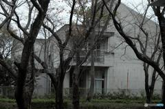 TSUKUBA　幸福の残像