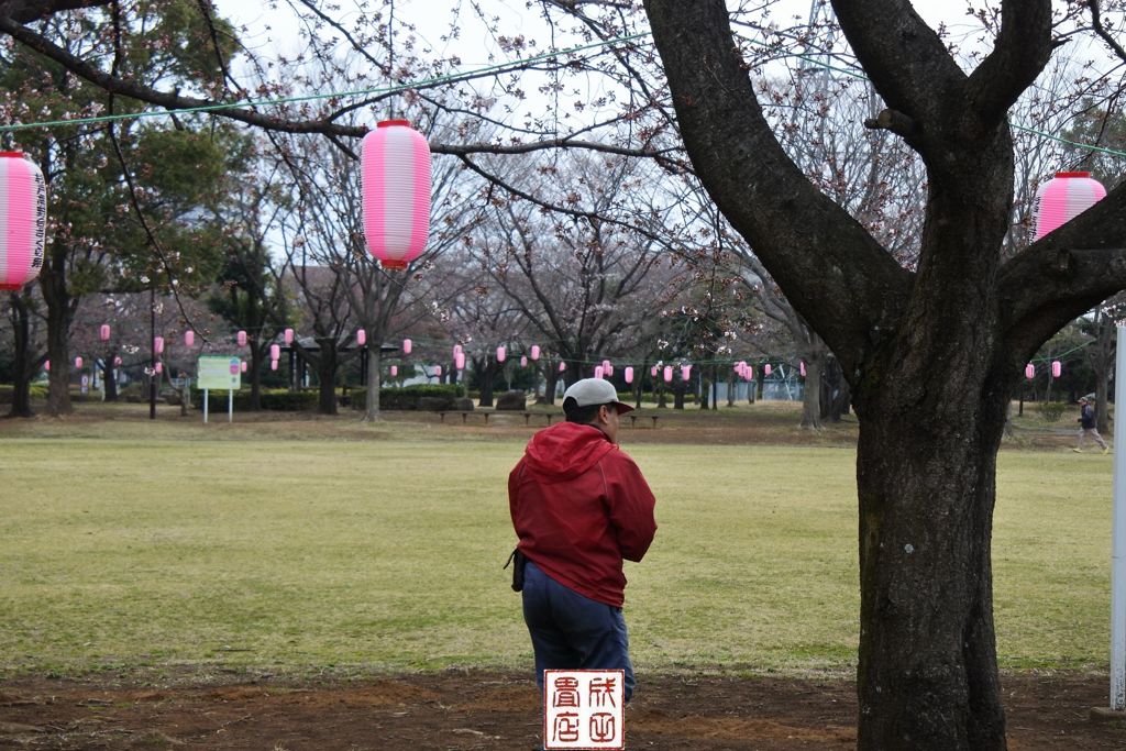 杉戸高野台02