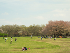 休日の公園