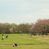 休日の公園