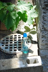 ラムネ
