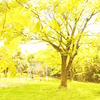 yellowish