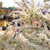 spring
