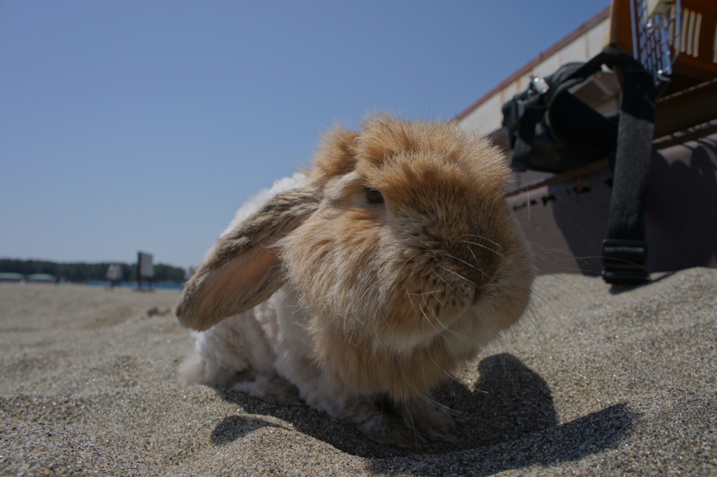 砂って温か～い。