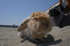 砂って温か～い。