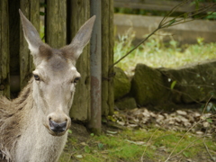逆に見られてる