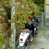 スクーター