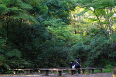 緑の中の小休憩