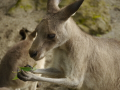 「これ賞味期限書いてねぇな」