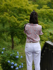 撮っているのを撮っている