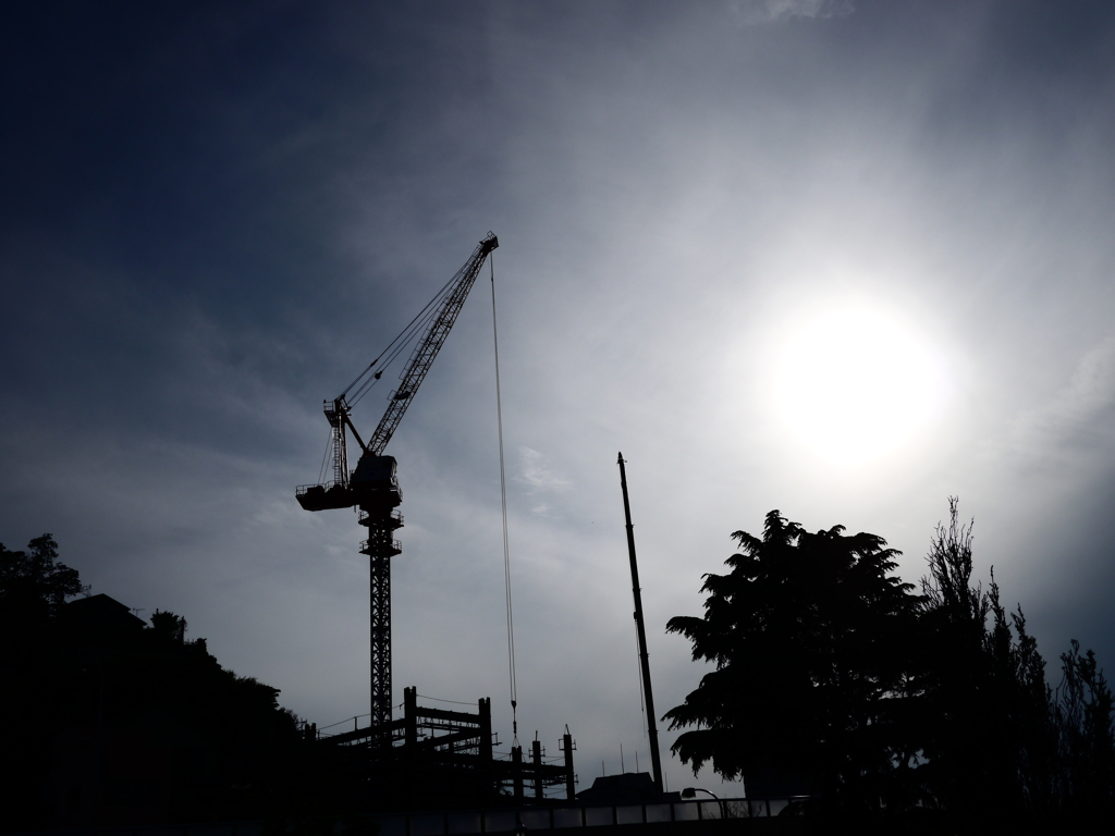 人工的な自然の風景