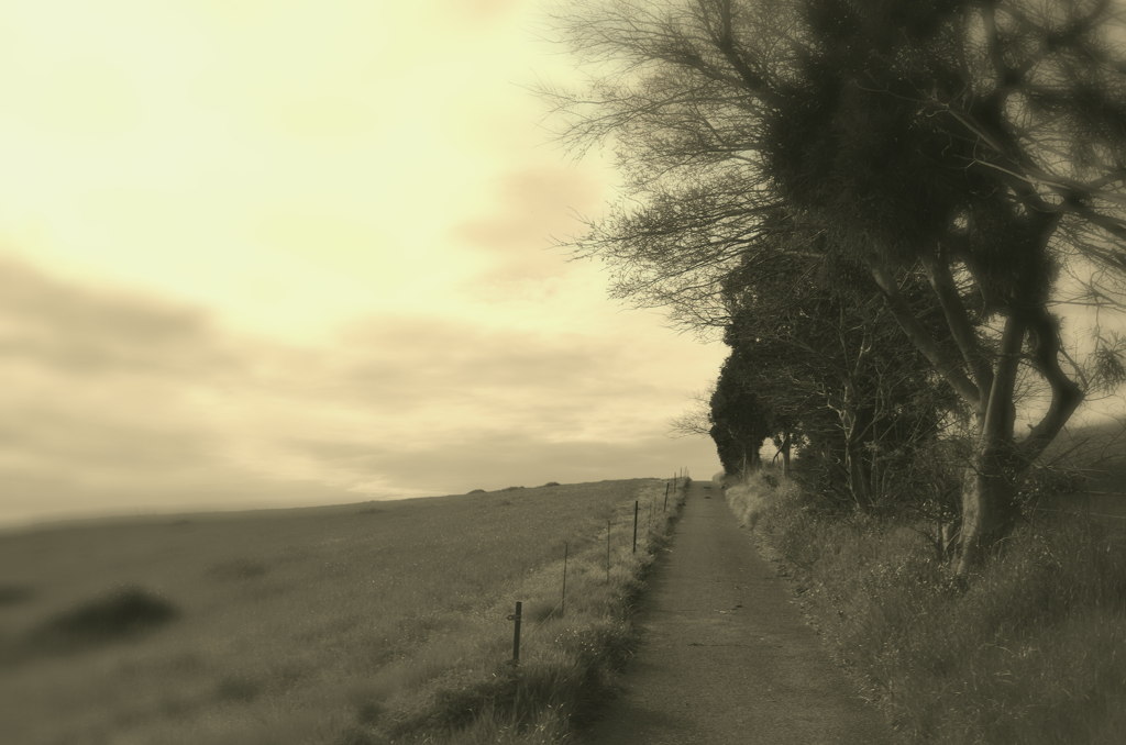 countryroad