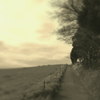 countryroad