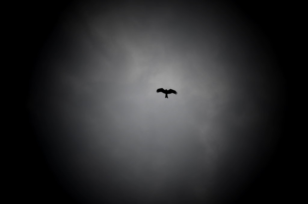 fly a high pitch