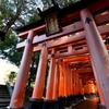 D800 Snap #21