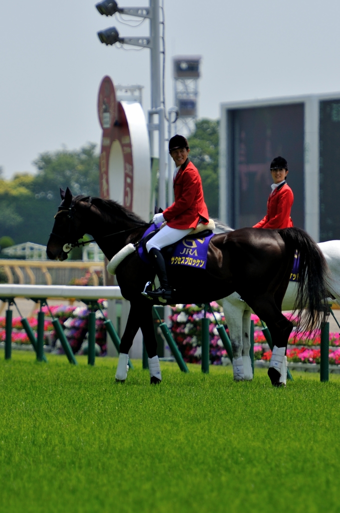 東京競馬場 #4