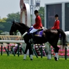 東京競馬場 #4