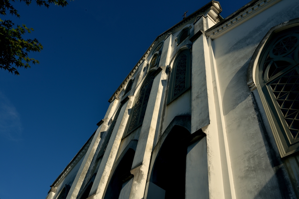 D800 Snap #6