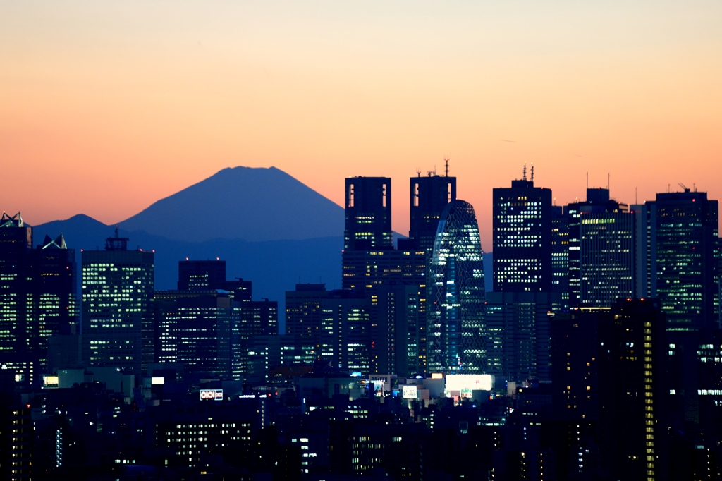 D800 Snap #23