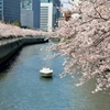 D800 Snap #1