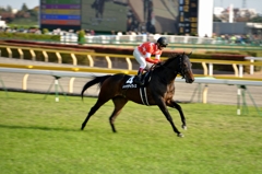 東京競馬場 #1