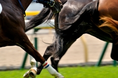 東京競馬場 #7