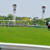 東京競馬場 #9